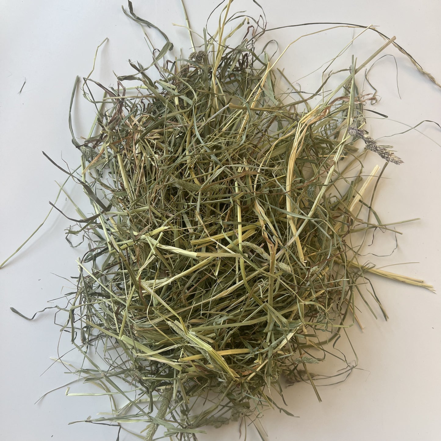 Fresh mixed hay for small pets in Greater Toronto. Including rabbits, bunnies and guinea pigs