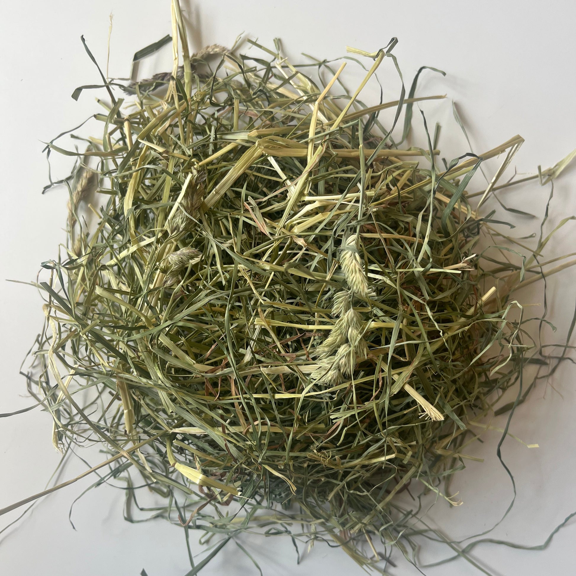 Fresh first cut orchard hay for small pets. Including rabbits, bunnies and guinea pigs. Greater Toronto.