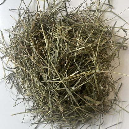 Fresh first cut timothy hay for small pets. Including rabbits, bunnies and guinea pigs. Greater Toronto.