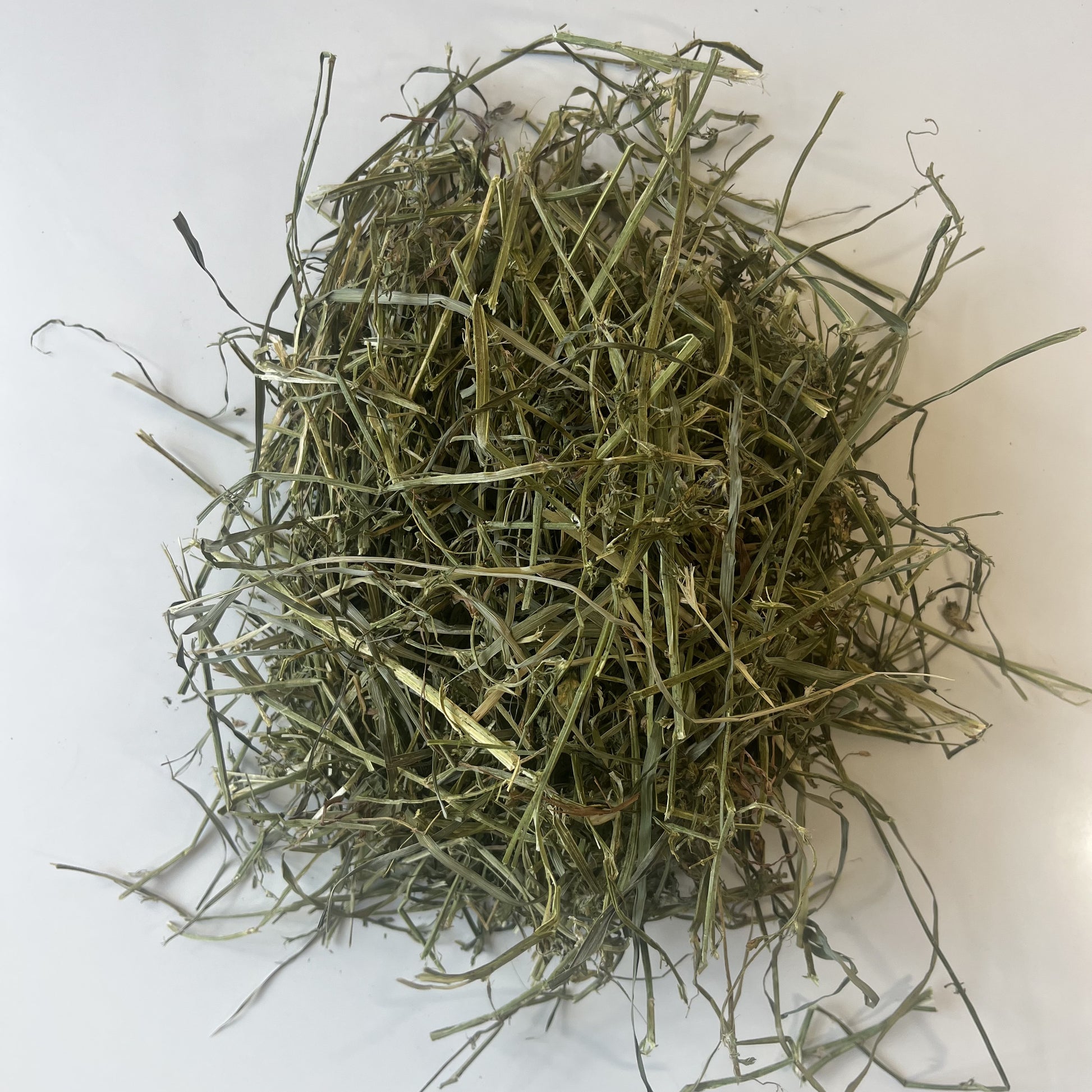 Fresh Alfalfa hay for small pets. Including rabbits, bunnies and guinea pigs. Greater Toronto.