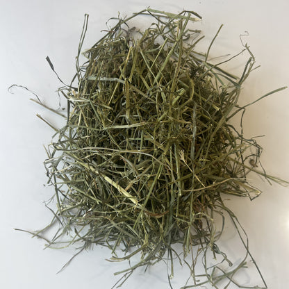 Fresh Alfalfa hay for small pets. Including rabbits, bunnies and guinea pigs. Greater Toronto.