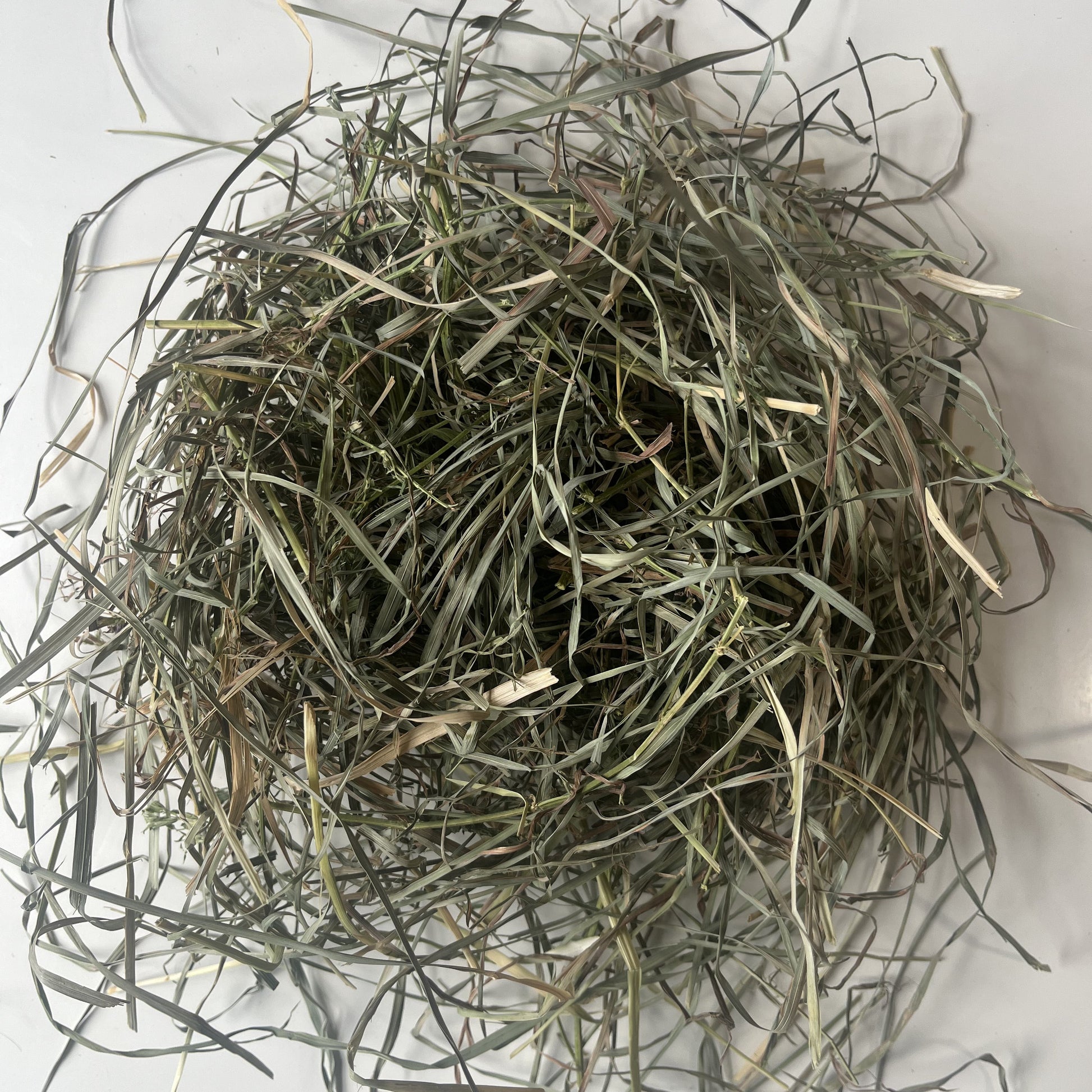 Fresh second cut orchard hay for small pets Toronto. Including rabbits, bunnies and guinea pigs