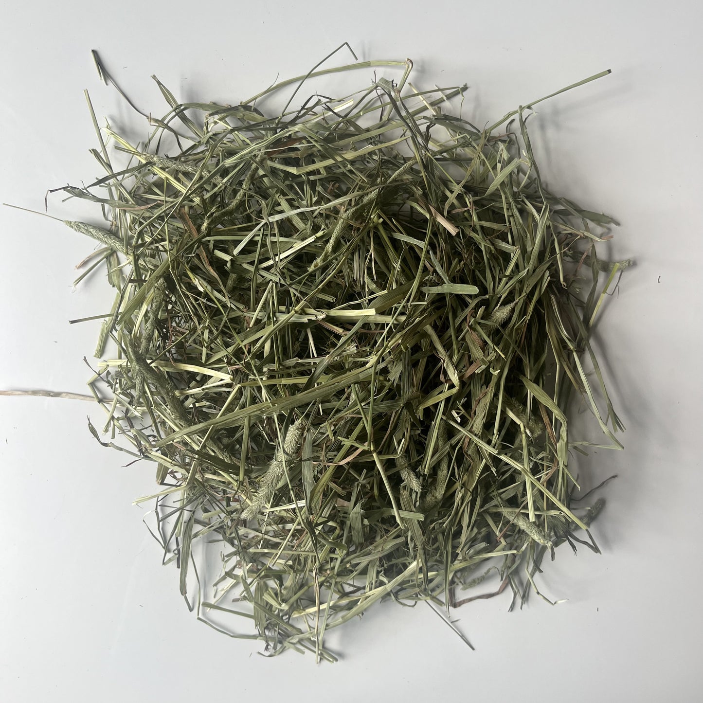 Fresh second cut timothy hay for small pets. Including rabbits, bunnies and guinea pigs