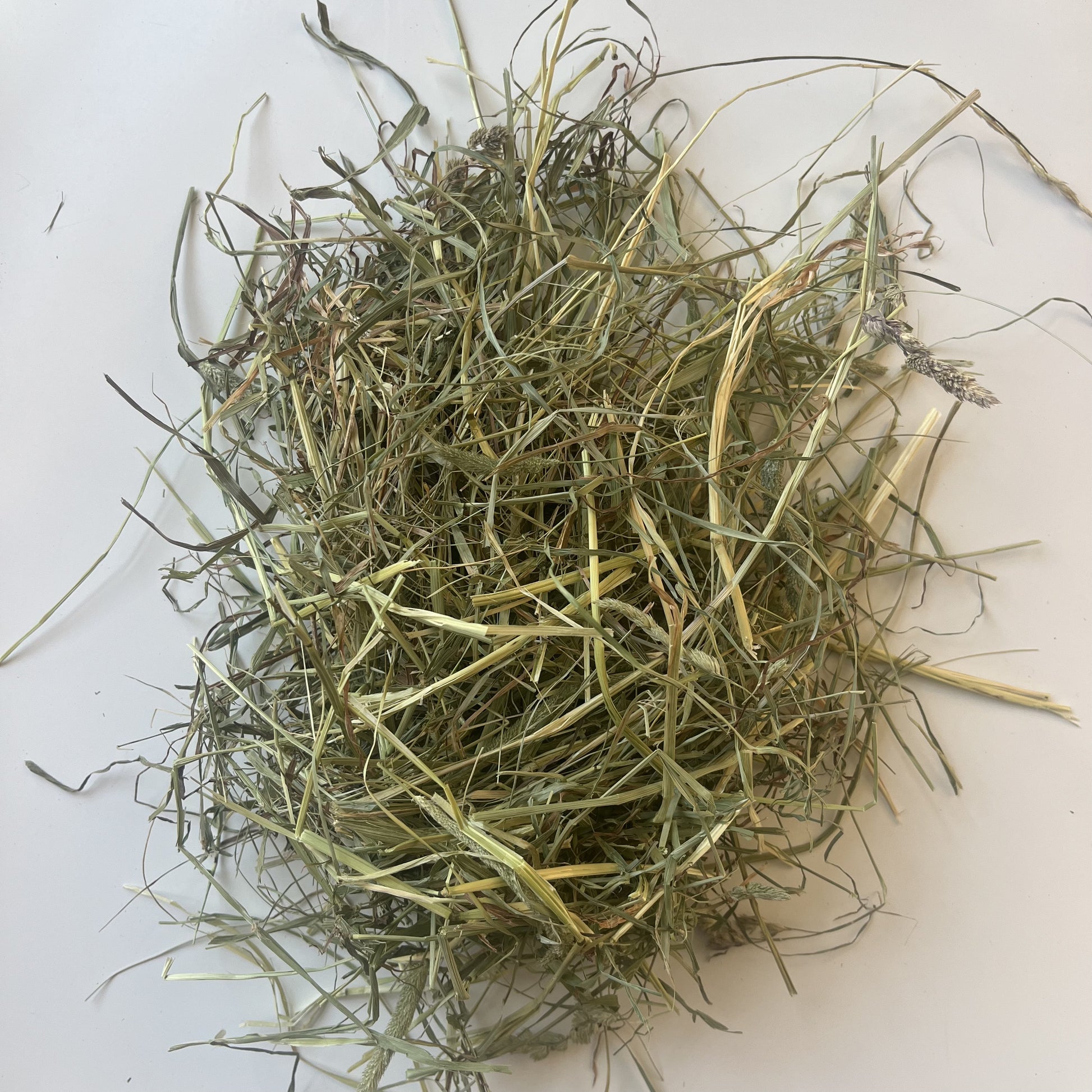 Fresh mixed hay for small pets in Greater Toronto. Including rabbits, bunnies and guinea pigs